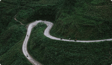 green forest